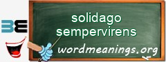 WordMeaning blackboard for solidago sempervirens